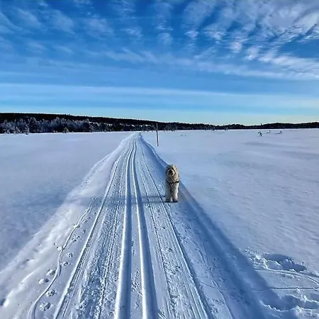 Skoglund Privat * Trysil