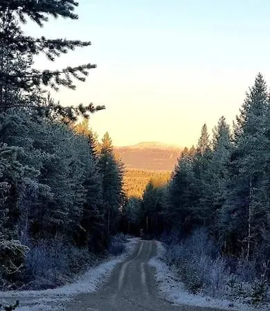 Skoglund Privat * Trysil