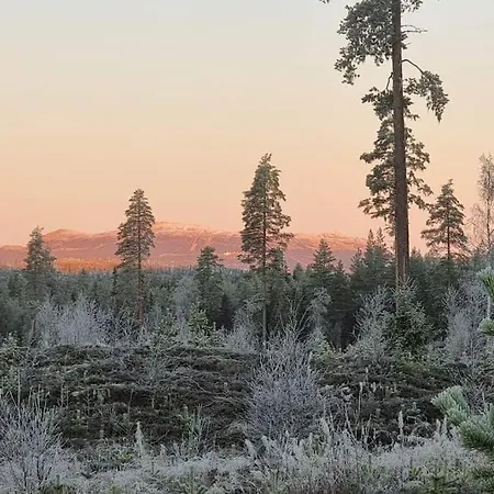 Holiday home Skoglund Privat