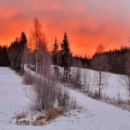 Skoglund Privat Holiday home *