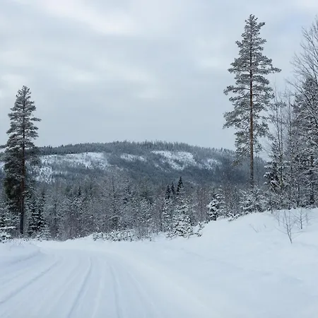 Hébergement de vacances Skoglund Privat *