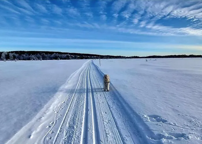 Skoglund Privat * Trysil