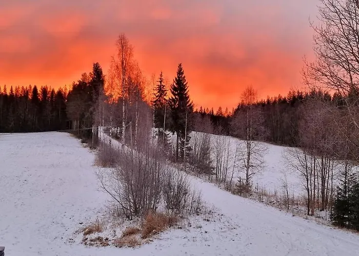 Skoglund Privat Dom wakacyjny *