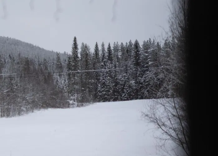 Skoglund Privat Dom wakacyjny *