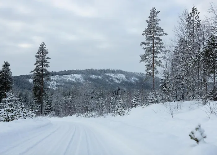 Dom wakacyjny Skoglund Privat *