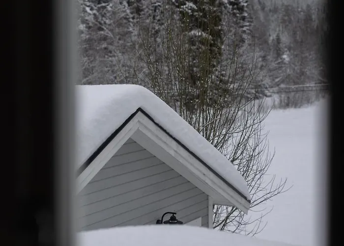 Dom wakacyjny Skoglund Privat *